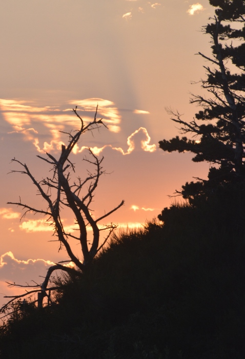 Netarts Bay sunset